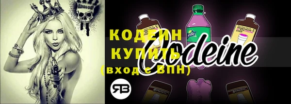 ПСИЛОЦИБИНОВЫЕ ГРИБЫ Кукмор