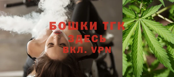 хмурый Лагань