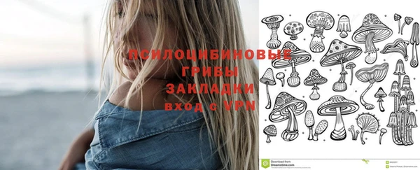 бошки Лихославль