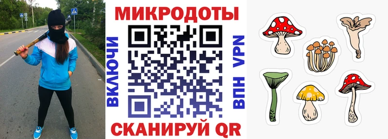 Галлюциногенные грибы прущие грибы  Кяхта 
